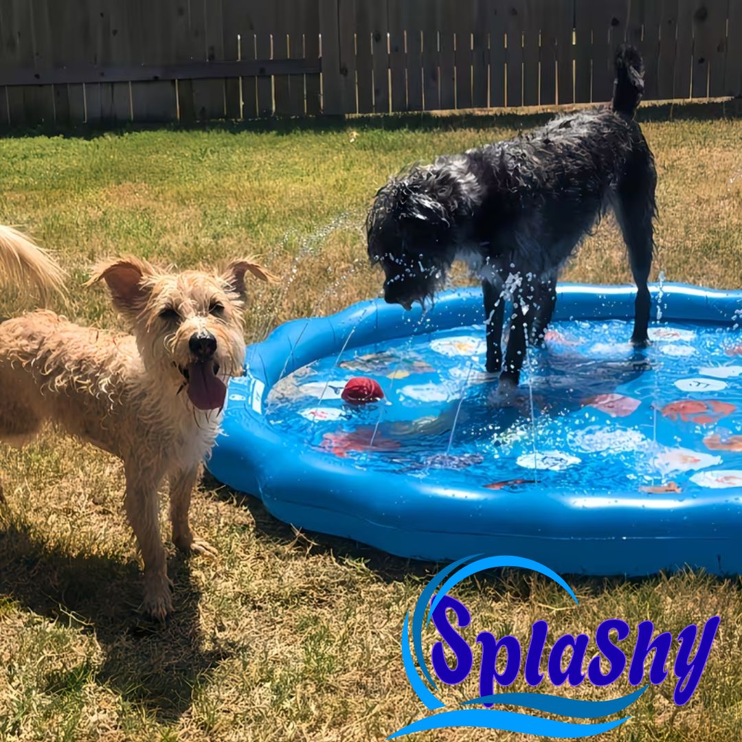 SPLASHY - ALFOMBRA PARA NIÑOS - DIVERSION ASEGURADA!